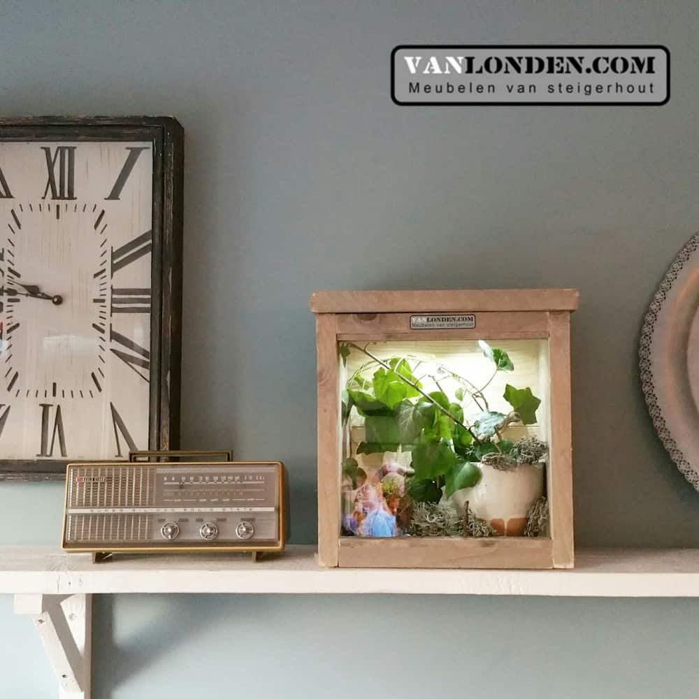 steigerhouten terrarium Joey - Afbeelding 3